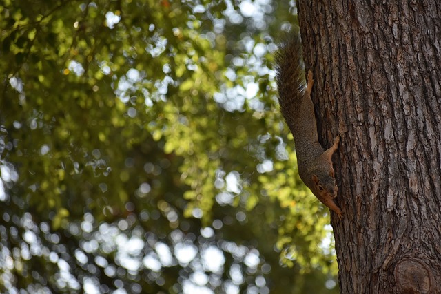 新的训练方 新的训练方