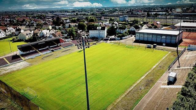 的強化是運 的強化是運